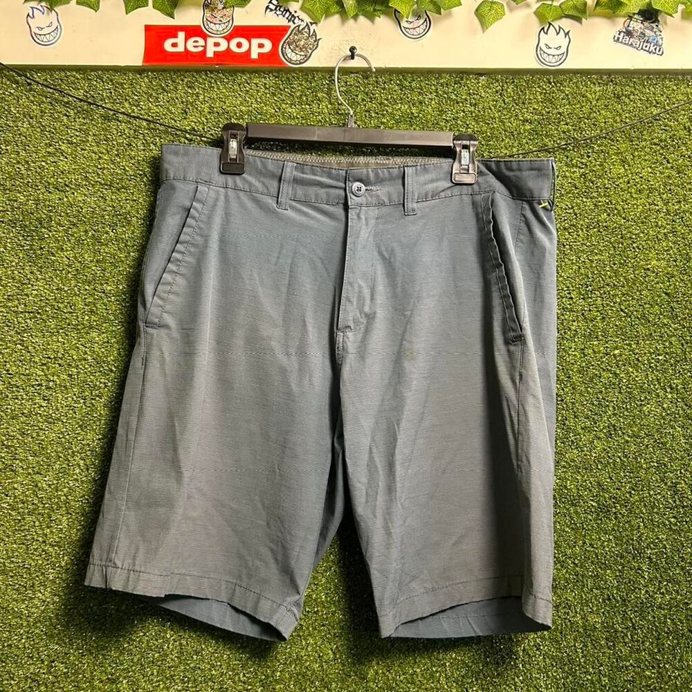 Burnside Men's Blue and Grey Shorts